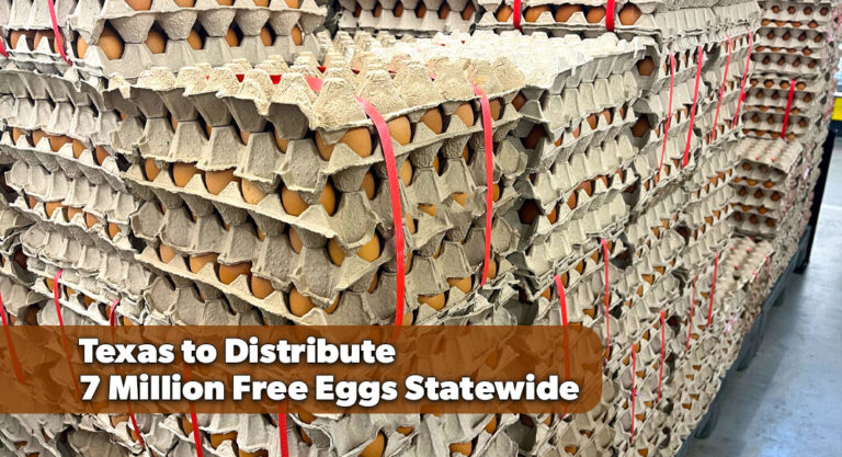 Paxton Announces 7-Million Egg Statewide Giveaway
