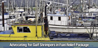 Rep. Gonzalez Seeks Fuel Relief for Gulf Shrimpers